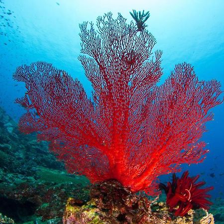 Adani Ksamil Ngoại thất bức ảnh